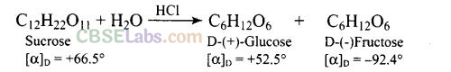 NCERT Exemplar Class 12 Chemistry Chapter 14 Biomolecules-2