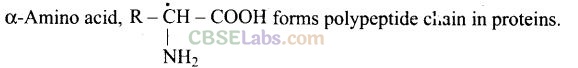 NCERT Exemplar Class 12 Chemistry Chapter 14 Biomolecules-4