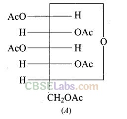 NCERT Exemplar Class 12 Chemistry Chapter 14 Biomolecules-6