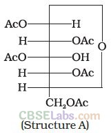 NCERT Exemplar Class 12 Chemistry Chapter 14 Biomolecules-7