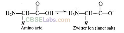 NCERT Exemplar Class 12 Chemistry Chapter 14 Biomolecules-10
