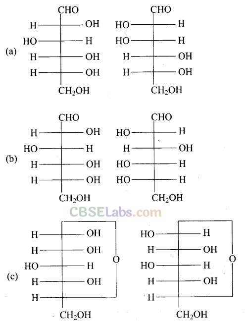 Biomolecules NCERT Exemplar Solutions Class 12
