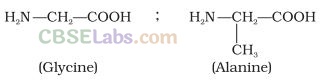 NCERT Exemplar Class 12 Chemistry Chapter 14 Biomolecules-11