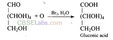 NCERT Exemplar Class 12 Chemistry Chapter 14 Biomolecules-14