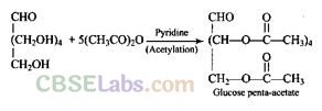 NCERT Exemplar Class 12 Chemistry Chapter 14 Biomolecules-16