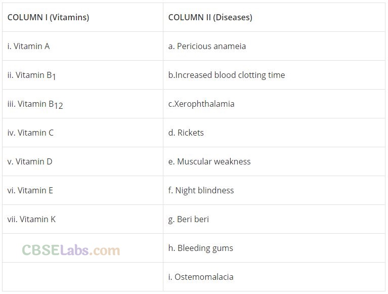 NCERT Exemplar Class 12 Chemistry Chapter 14 Biomolecules-18