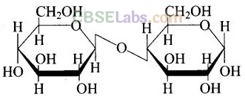 NCERT Exemplar Class 12 Chemistry Chapter 14 Biomolecules-20