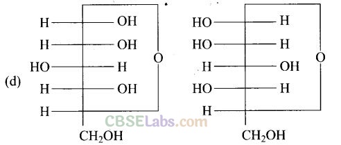 Biomolecules Exemplar Class 12