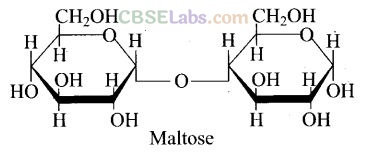 NCERT Exemplar Class 12 Chemistry Chapter 14 Biomolecules-21