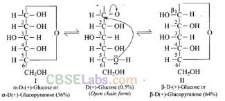 NCERT Exemplar Class 12 Chemistry Chapter 14 Biomolecules-22