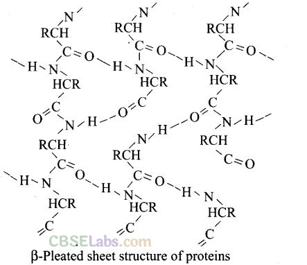 NCERT Exemplar Class 12 Chemistry Chapter 14 Biomolecules-28