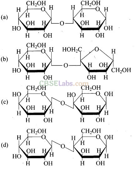 Biomolecules Exemplar Class 12