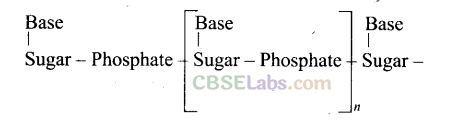 NCERT Exemplar Class 12 Chemistry Chapter 14 Biomolecules-30