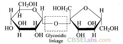 Biomolecules Class 12 NCERT Exemplar