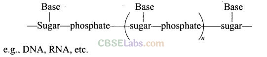 Biomolecules Class 12 Exemplar