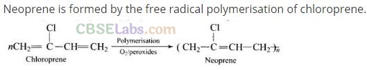 NCERT Exemplar Class 12 Chemistry Chapter 15 Polymers-11