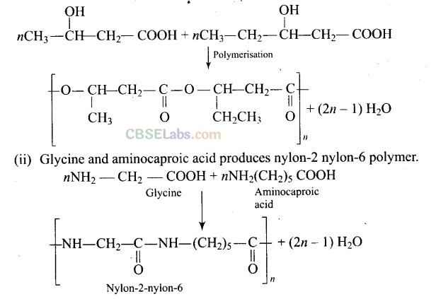 NCERT Exemplar Class 12 Chemistry Chapter 15 Polymers-12