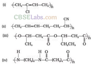 NCERT Exemplar Class 12 Chemistry Chapter 15 Polymers-1