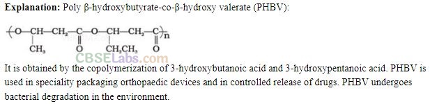 NCERT Exemplar Class 12 Chemistry Chapter 15 Polymers-2