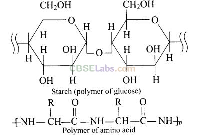 NCERT Exemplar Class 12 Chemistry Chapter 15 Polymers-30