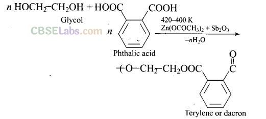 NCERT Exemplar Class 12 Chemistry Chapter 15 Polymers-4