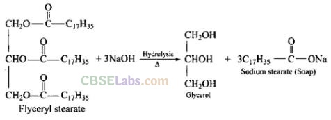 NCERT Exemplar Class 12 Chemistry Chapter 16 Chemistry in Everyday Life-3