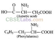 NCERT Exemplar Class 12 Chemistry Chapter 16 Chemistry in Everyday Life-5