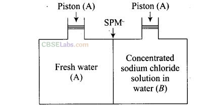 NCERT Exemplar Class 12 Chemistry Chapter 2 Solution