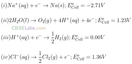NCERT Exemplar Class 12 Chemistry Chapter 3 Electrochemistry-19