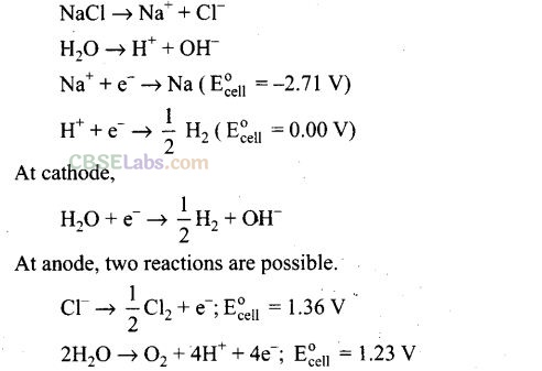 NCERT Exemplar Class 12 Chemistry Chapter 3 Electrochemistry-20