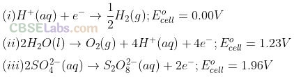 NCERT Exemplar Class 12 Chemistry Chapter 3 Electrochemistry-22