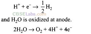 NCERT Exemplar Class 12 Chemistry Chapter 3 Electrochemistry-23