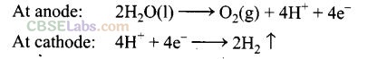 NCERT Exemplar Class 12 Chemistry Chapter 3 Electrochemistry-41