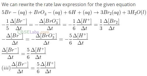 NCERT Exemplar Class 12 Chemistry Chapter 4 Chemical Kinetics-12