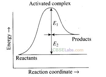 Ncert Exemplar Chemical Kinetics Class 12