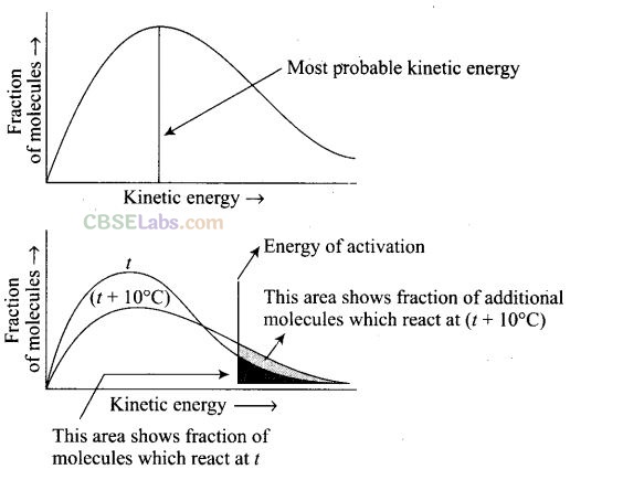 NCERT Exemplar Class 12 Chemistry Chapter 4 Chemical Kinetics-44