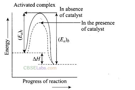 NCERT Exemplar Class 12 Chemistry Chapter 4 Chemical Kinetics-45