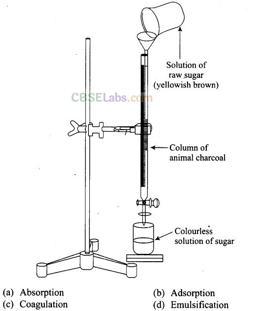 NCERT Exemplar Class 12 Chemistry Chapter 5 Surface Chemistry-10