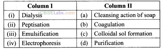 NCERT Exemplar Class 12 Chemistry Chapter 5 Surface Chemistry-17