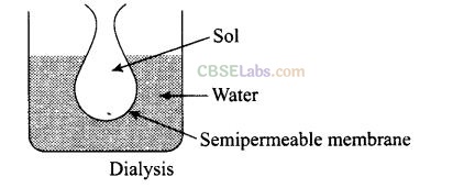 NCERT Exemplar Class 12 Chemistry Chapter 5 Surface Chemistry-18