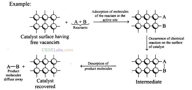NCERT Exemplar Class 12 Chemistry Chapter 5 Surface Chemistry-20