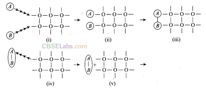 NCERT Exemplar Class 12 Chemistry Chapter 5 Surface Chemistry-7