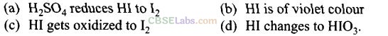 NCERT-Exemplar-Class-12-Chemistry-Chapter-7-The-p-Block-Elements-1
