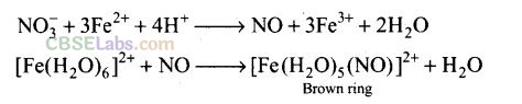 P Block Elements Class 12 NCERT Exemplar