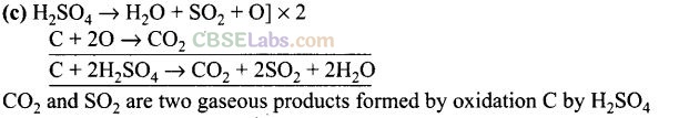 NCERT Exemplar Class 12 Chemistry