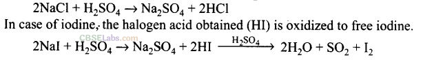 NCERT Exemplar Class 12 Chemistry P Block