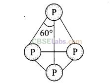 P Block Elements Class 12 Exemplar Solutions