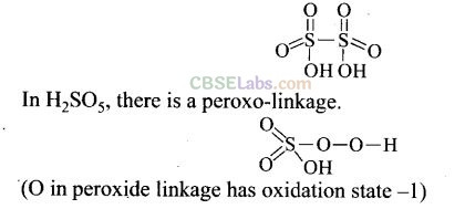 NCERT Exemplar P Block Class 12