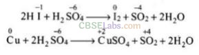 NCERT Exemplar Class 12 Chemistry Chapter 7 The p-Block Elements