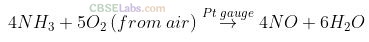 NCERT Exemplar Class 12 Chemistry Chapter 7 The p-Block Elements-1